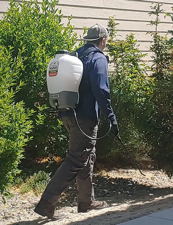 The technician up close: cap, navy jacket, white backpack sprayer, and the spray wand held low over the gravel bed beside the shrubs.